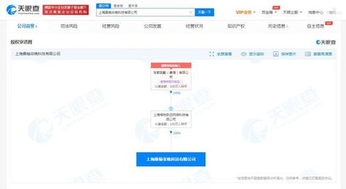 上海軟件代理與開發(fā) 企業(yè)數(shù)字化轉(zhuǎn)型的雙引擎